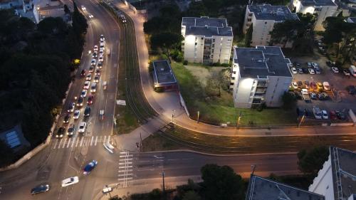 Proxiel [13-01-2022](0361).jpg